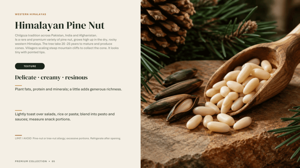 Himalayan Pine Nut